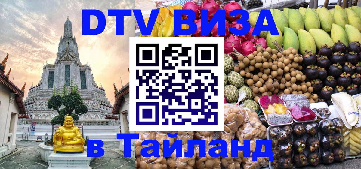 Оформление DTV визы под ключ: стоимость и тарифы, только загранпаспорт - Ногинск 